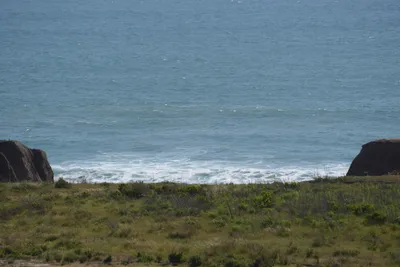 DSC_6848 (Large).JPG